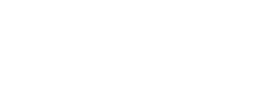 партнер Выстрел logo